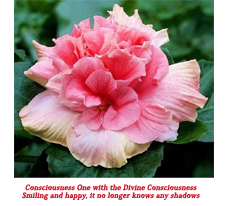 Consciousness One with the Divine Consciousness